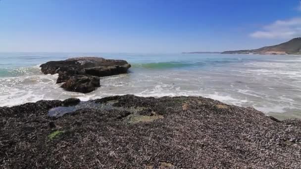 Waves crash onto barnacle covered rocks — Stock Video