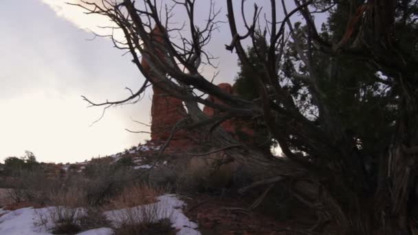 Balansera klippformation i Arches National Par — Stockvideo