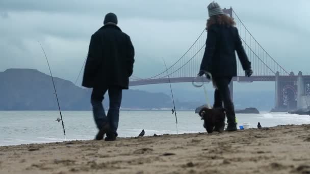 Pareja paseos su perro — Vídeo de stock