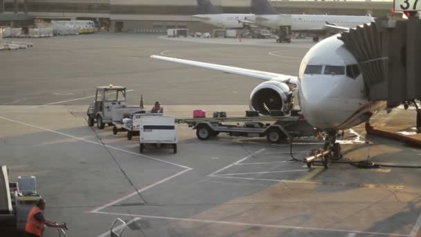 Obsługa bagażu ładuje samolot — Wideo stockowe