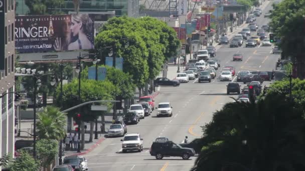 ハリウッド大通りに向かってのツルの通り — ストック動画