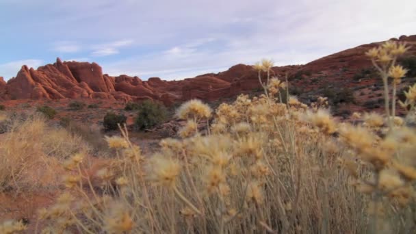 Prachtig uitzicht in het Arches National Park — Stockvideo