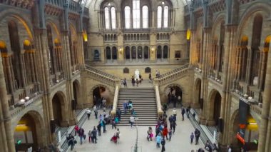 Doğal Tarih Müzesi, ana salon