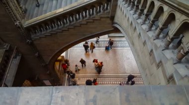 Doğal Tarih Müzesi, merdiven