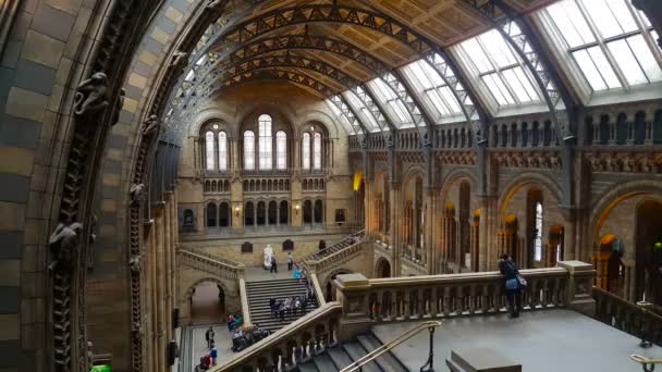 Natural History Museum, Archway — Stockvideo