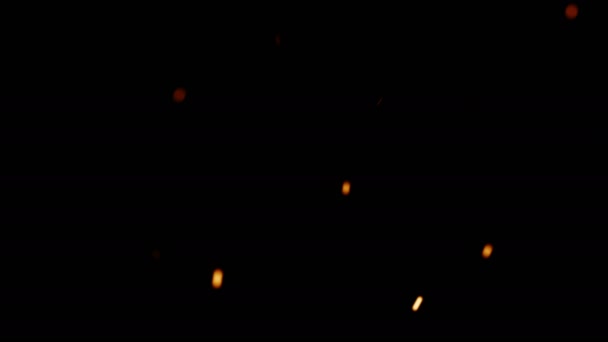 Ember Rising, Api Rendah (24fps ) — Stok Video