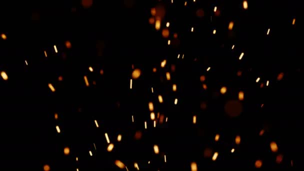 Embers montant, flammes moyennes (25fps ) — Video