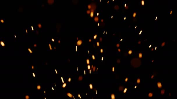 Rising Embers, Medium Flames (25fps) — Stock Video