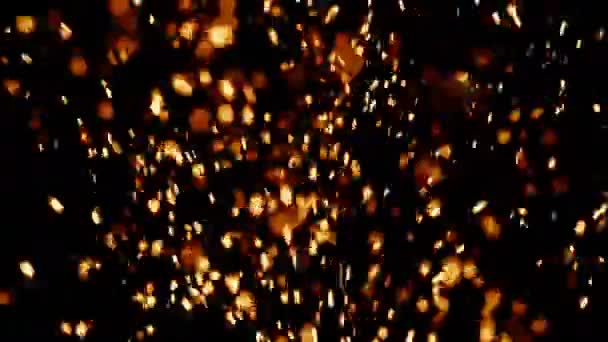 Embers montantes, hautes flammes (30fps ) — Video