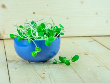 Ayçiçeği lahanası; ahşap masa mavi üfle, yakın