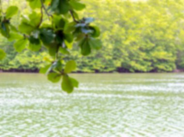 Orman ve nehir arka planda ile üst mevsimlik ağaç yaprak; n