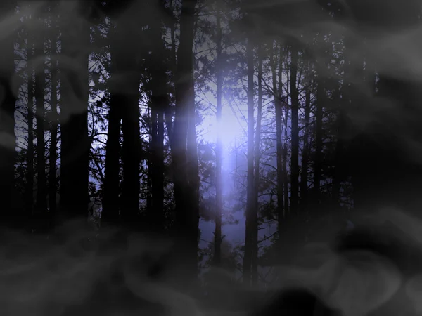 Dark mystery forest with deep blue and smoke; abstract forest