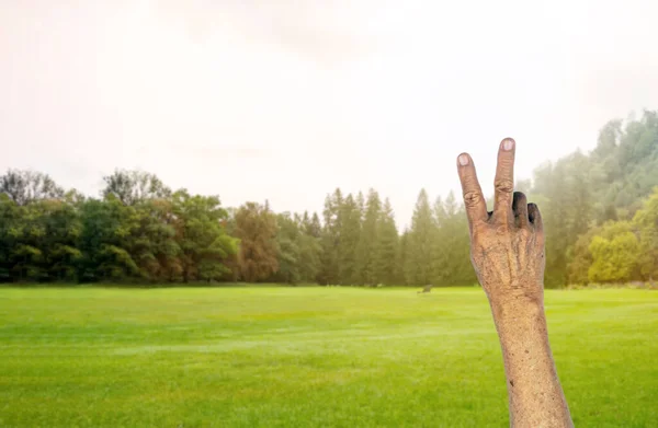 Two Fingers Hand Gesture Empty Park — Stock Photo, Image