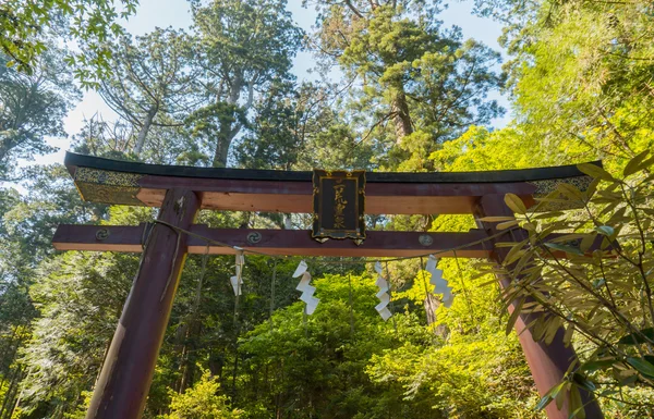 닛코에서 사원에 있는 자연에 나무로 만든 신사 앞 기둥 문 — 스톡 사진