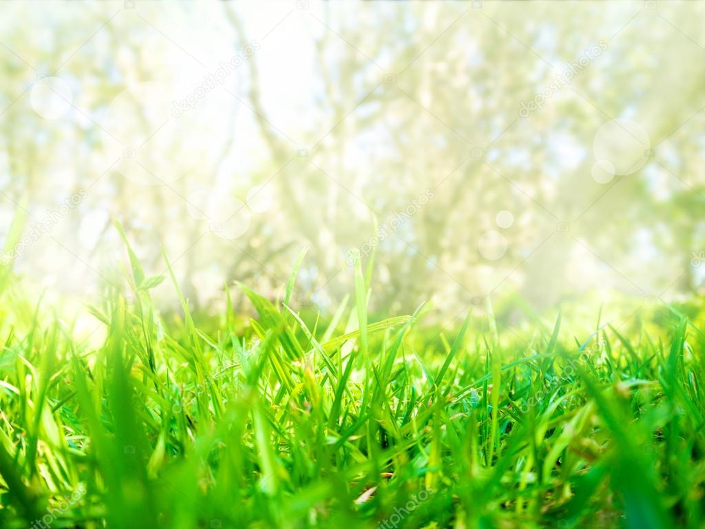 Abstract nature grass field background with bokeh glowing light