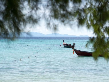 Tekneler ve deniz ile çam yaprakları arka plan kapsayan; Teknede seçici odak