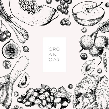 El yapımı sebzeler ve meyveler. Vektör pupkin, armut, elma, enginar, erik, üzüm, domates, soğan, neşe, Bektaşi üzümü böğürtlen böğürtlenli illüye işlenmiş illüstrasyon Menü broşür paketi tasarımı.