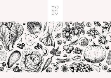 El yapımı sebzeler ve meyveler. Vektör pupkin, armut, elma, enginar, erik, üzüm, domates, soğan, neşe, Bektaşi üzümü böğürtlen böğürtlenli illüye işlenmiş illüstrasyon Menü broşür paketi tasarımı.