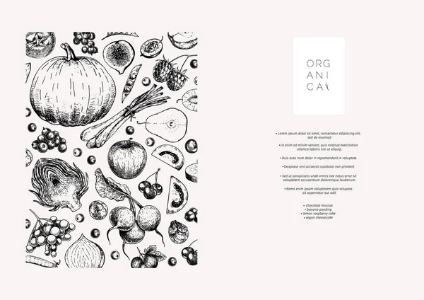 El yapımı sebzeler ve meyveler. Vektör pupkin, armut, elma, enginar, erik, üzüm, domates, soğan, neşe, Bektaşi üzümü böğürtlen böğürtleni oymalı illüstrasyon Menü tasarımı restoran broşürü