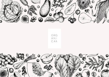 El yapımı sebzeler ve meyveler. Vektör pupkin, armut, elma, enginar, erik, üzüm, domates, soğan, neşe, Bektaşi üzümü böğürtlen böğürtlenli illüye işlenmiş illüstrasyon Menü broşür paketi tasarımı