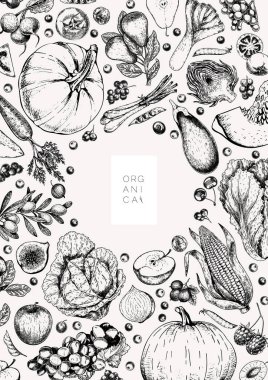 El yapımı sebzeler ve meyveler. Vektör pupkin, armut, elma, enginar, erik, üzüm, domates, soğan, neşe, Bektaşi üzümü böğürtlen böğürtlenli illüye işlenmiş illüstrasyon Menü broşür paketi tasarımı