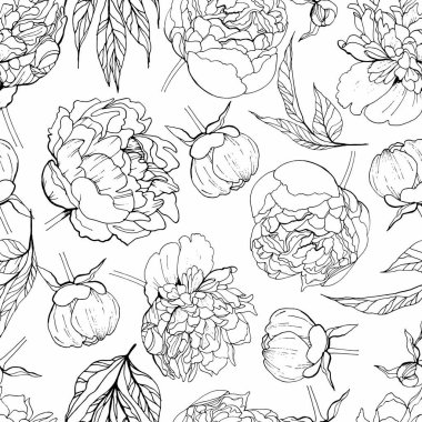 Vektör kusursuz desen. Beyaz arka planda soyutlanmış şakayıklar. El çizimi çiçek çizimi.