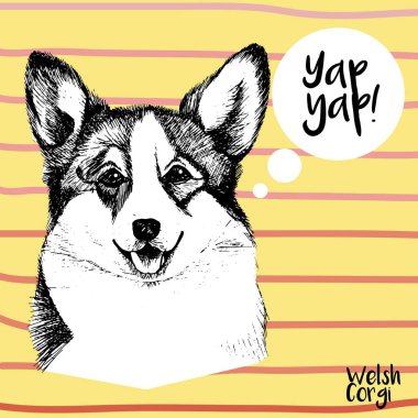 Galler Corgi Pembroke 'un yakın portresi. El çizimi evcil köpek çizimi. Sarı arka planda, gül çizgileri ile izole edilmiş.. 