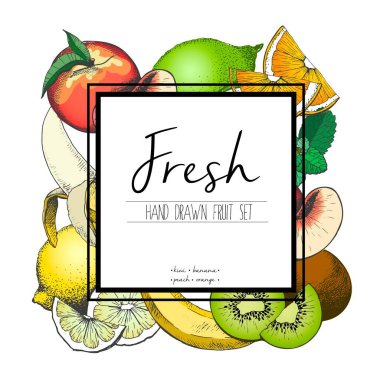 Taze meyvelerin vektör sınır rengi çizimi. Muz, kivi, şeftali, limon, portakal, limon. El yapımı vejetaryen lezzetli organik yiyecekler..