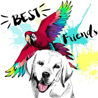 Labrador Retriever ve ara makaw arkadaşlığı konsepti. Renkli el çizimi evcil köpek ve yabani papağan çizimi. En iyi arkadaşlar.