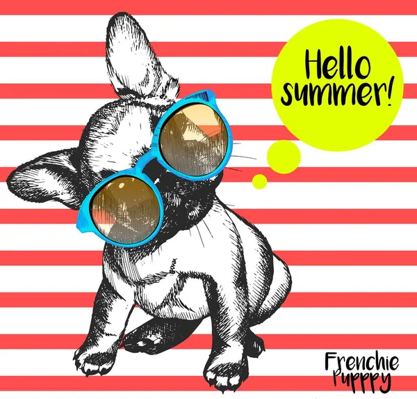 Vektor Närbild Porträtt Fransk Bulldogg Bär Solglasögon Ljust Hallå Sommar — Stock vektor