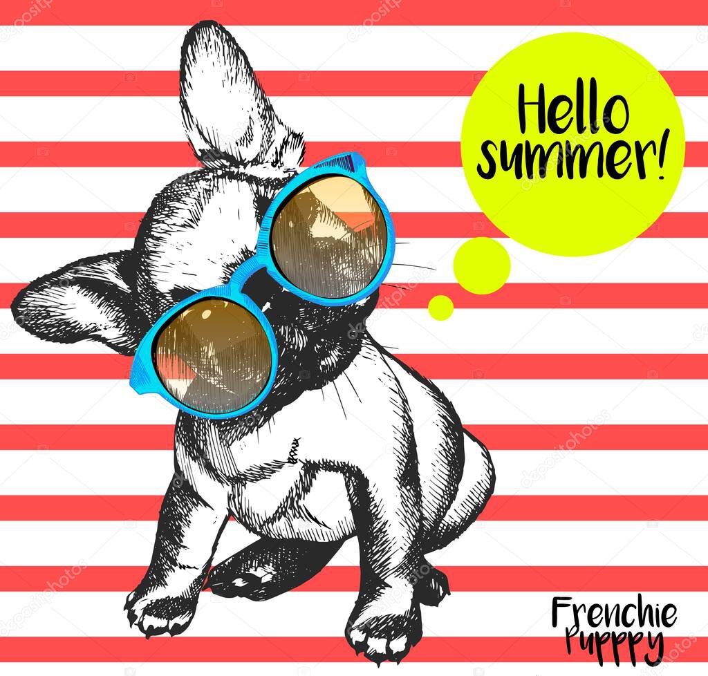 Vector close up portrait of french bulldog wearing the sunglassess. Bright hello summer french bulldog portrait. Hand drawn domestic pet dog illustration. Isolated on background with red stripes.