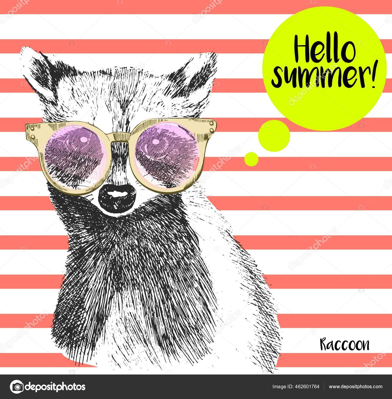 Vector Close Portrait Raccoon Wearing Sunglassess Bright Hello Summer ...