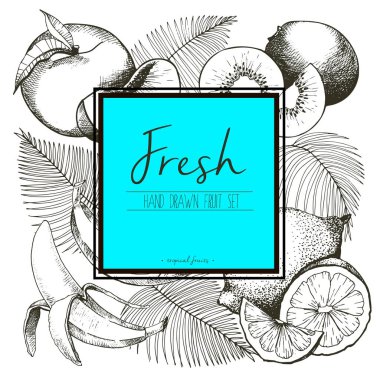 Palmiye yapraklı taze tropikal meyvelerin vektör sınır çizimi. El yapımı vejetaryen lezzetli organik yiyecekler ve okyanus mavisi metni şablonu..