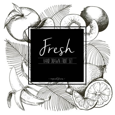 Palmiye yapraklı taze tropikal meyvelerin vektör sınır çizimi. El yapımı vejetaryen lezzetli organik yiyecekler ve siyah kare yazı şablonu..