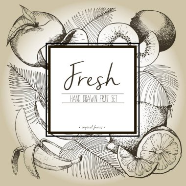 Palmiye yapraklı taze tropikal meyvelerin vektör sınır çizimi. El yapımı vejetaryen lezzetli organik yiyecekler beyaz kare metin şablonu kahverengi arka planda izole edilmiş..