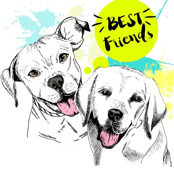 Labradoe Retriever Pitbull Terrier Arkadaşlığı Konsepti Renkli Çizimi Evcil Köpek — Stok Vektör