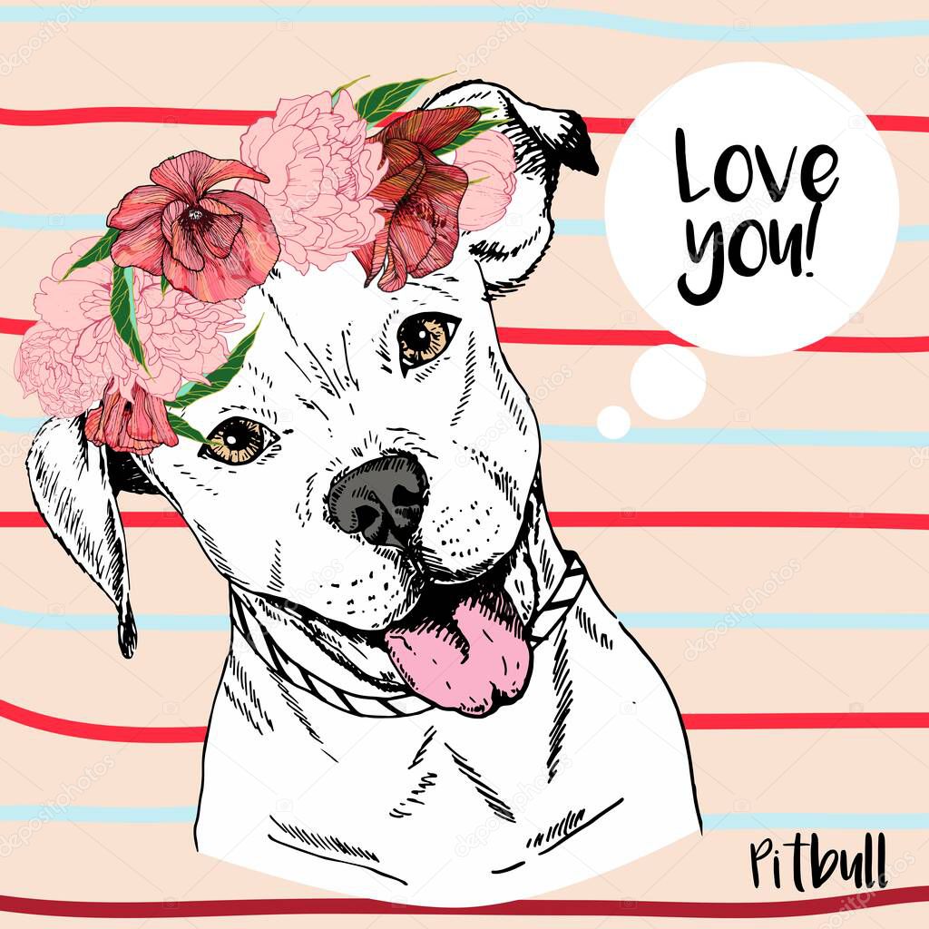 Vector close up portrait of pitbull girl, wearing the flower wreath. Hand drawn domestic pet dog illustration. Isolated on neutral background with red and blue stripes. 