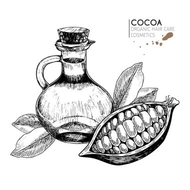 Vektör, saç bakım malzemelerini ayarladı. Organik el yapımı elementler. Kakao çekirdeği, bir şişe yağ, yapraklar. Kozmetik paketini, mağazayı, ürünleri, spa salonunu, spa programını, prosedürü, cilt bakımını kullan