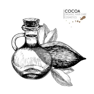 Vektör, saç bakım malzemelerini ayarladı. Organik el yapımı elementler. Kakao çekirdeği, bir şişe yağ. Yaprak. Kozmetik paketi, dükkan, mağaza, ürünler, kaplıca salonu, güzellik programı, prosedür, cilt kılı bakımı