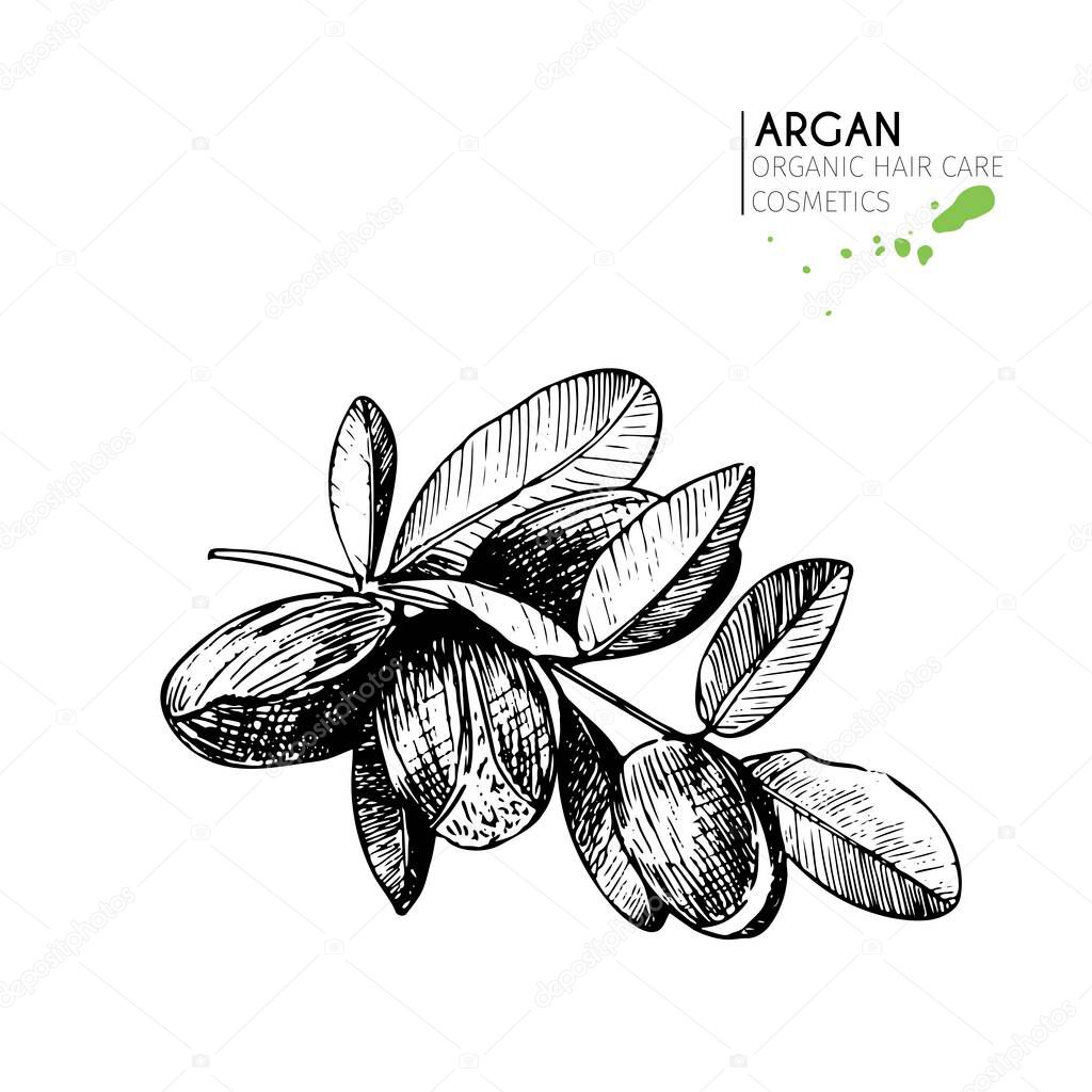 Vector set of hair care ingredients. Organic hand drawn elements. Argan nuts branch. Use for cosmetic package, shop, store, products,  spa salon, wellnes program, procedure, skin, hair care 