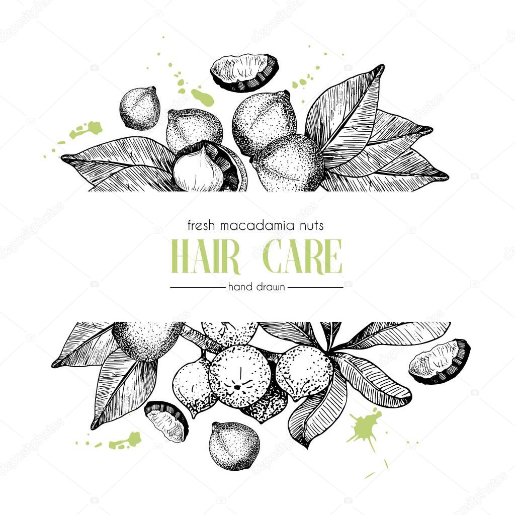 Vector set of hair care ingredients. Organic hand drawn elements. Template for macadamia branch. Use for cosmetic package, shop, store, products, spa salon, wellnes program, procedure, skin, hair care