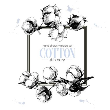 Cilt bakım malzemelerinin vektör seti. Organik el yapımı elementler. Pamuk dalı. Kozmetik paket, dükkan, mağaza, ürünler, kaplıca salonu, kuyu programı, prosedür, cilt, saç bakımı