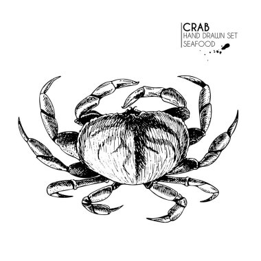 Deniz ürünleri ikonlarından oluşan vektör el çizimi. İzole edilmiş yengeç. Oymalı sanat. Lezzetli deniz ürünleri menüsü çizilmiş nesneler. Resaurant, yemek, pazar, mağaza, menü, parti dekorasyonu, diğer tasarım için kullan