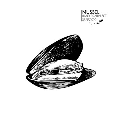 Deniz ürünleri ikonlarından oluşan vektör el çizimi. İzole edilmiş midye. Oymalı sanat. Lezzetli deniz ürünleri menüsü çizilmiş nesneler. Resaurant, yemek, pazar, mağaza, menü, parti dekorasyonu, diğer tasarım için kullan
