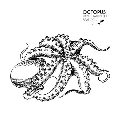 Deniz ürünleri ikonlarından oluşan vektör el çizimi. İzole ahtapot. Oymalı sanat. Lezzetli deniz ürünleri menüsü çizilmiş nesneler. Resaurant, yemek, pazar, mağaza, menü, parti dekorasyonu, diğer tasarım için kullan