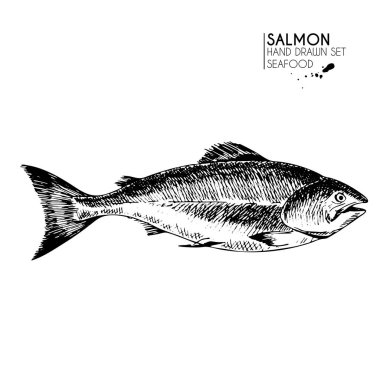 Deniz ürünleri ikonlarından oluşan vektör el çizimi. İzole edilmiş somon. Oymalı sanat. Lezzetli deniz ürünleri menüsü çizilmiş nesneler. Resaurant, yemek, pazar, mağaza, menü, parti dekorasyonu, diğer tasarım için kullan