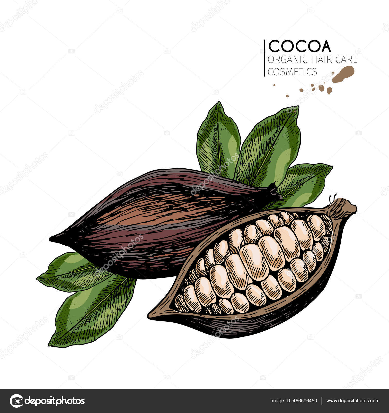 Snavs Kvalifikation fuzzy Vector de grano de cacao Stock-vektorer, royaltyfrie Vector de grano de  cacao illustrationer - Side 20 | Depositphotos