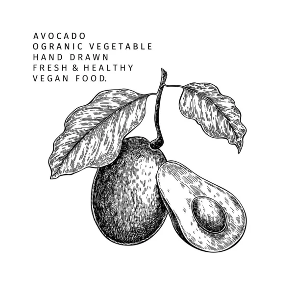 Handgezogene Hälfte Und Scheiben Geschnittene Avocado Vektorfarbige Gravur Illustration Natürliches — Stockvektor