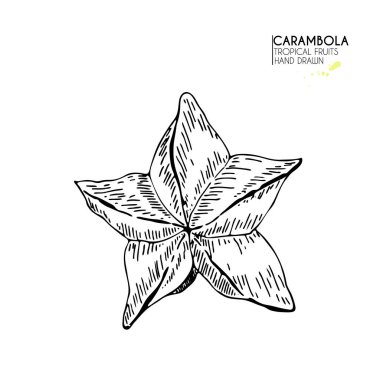 Vektör el çizimi egzotik meyveler. Gevşetilmiş karambola. Oymalı sanat. Lezzetli tropikal vejetaryen nesneler. Restoran, menü, meyve suyu kasesi, market, mağaza, parti dekorasyonu, yemek için kullan