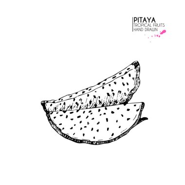 Vektör el çizimi egzotik meyveler. İzole edilmiş pitaya. İşlenmiş sanat ejderhası meyvesi. Lezzetli tropikal vejetaryen nesneler. Restoran, yemek, market, mağaza, menü, parti dekorasyonu, smoothie kaseleri için.